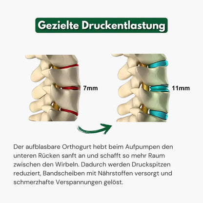 Orthogurt™ - Lendengurt | Rückengurt | Orthoheld®